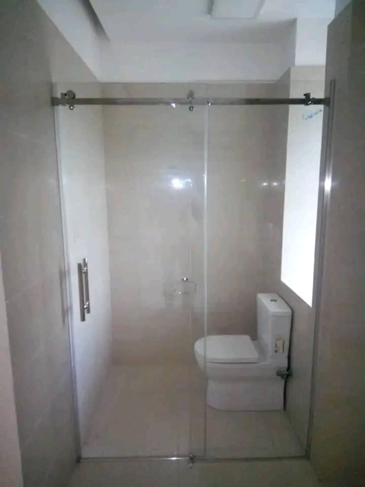Frosted Frameless Door